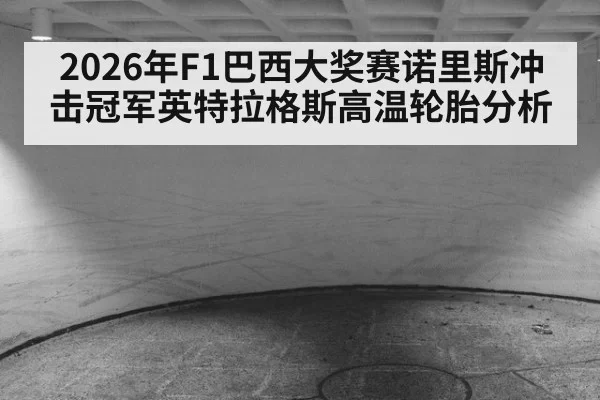 2026年F1巴西大奖赛诺里斯冲击冠军英特拉格斯高温轮胎分析